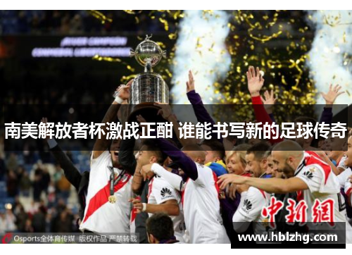 南美解放者杯激战正酣 谁能书写新的足球传奇